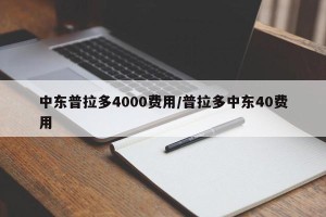 中东普拉多4000费用/普拉多中东40费用